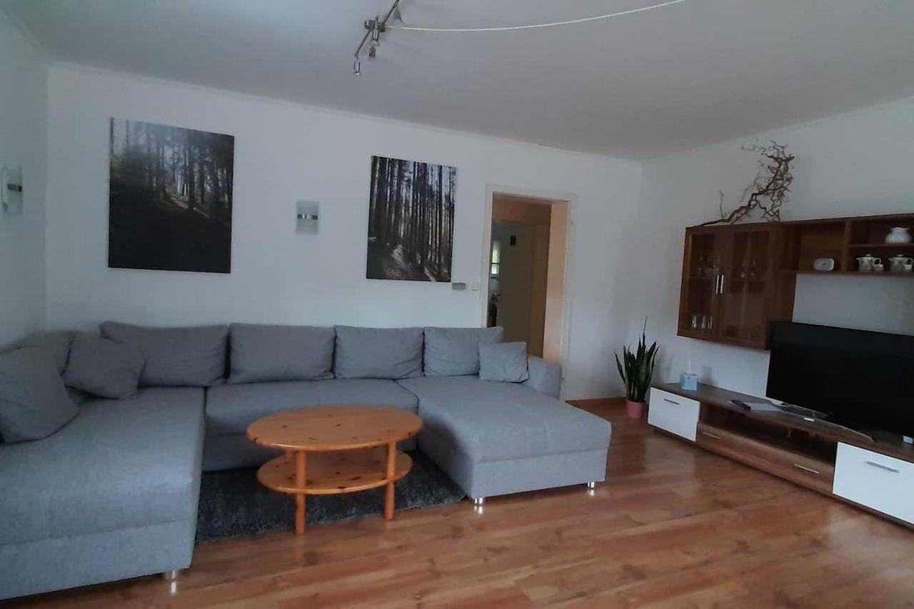 באד פטרסטאל-גריסבאך Steepleview House, Schwarzwaldblick Apartment - Spacious & Peaceful מראה חיצוני תמונה